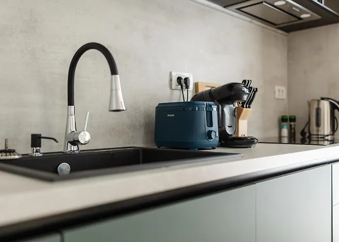 Modern With Balcony, Private Parking And Fast Wi-fi, Center * Timişoara